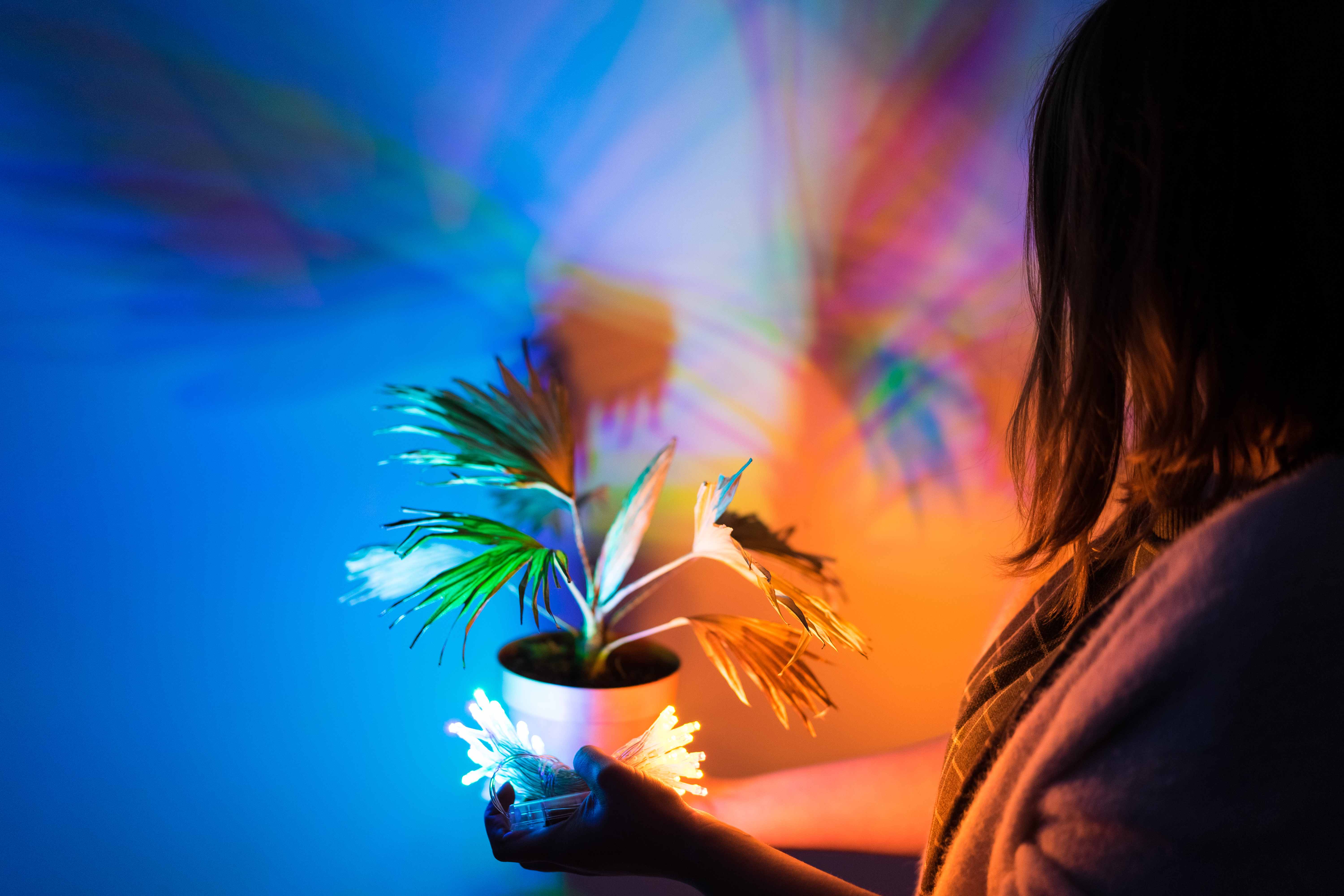 Техники Моне: Работа с цветом и светом